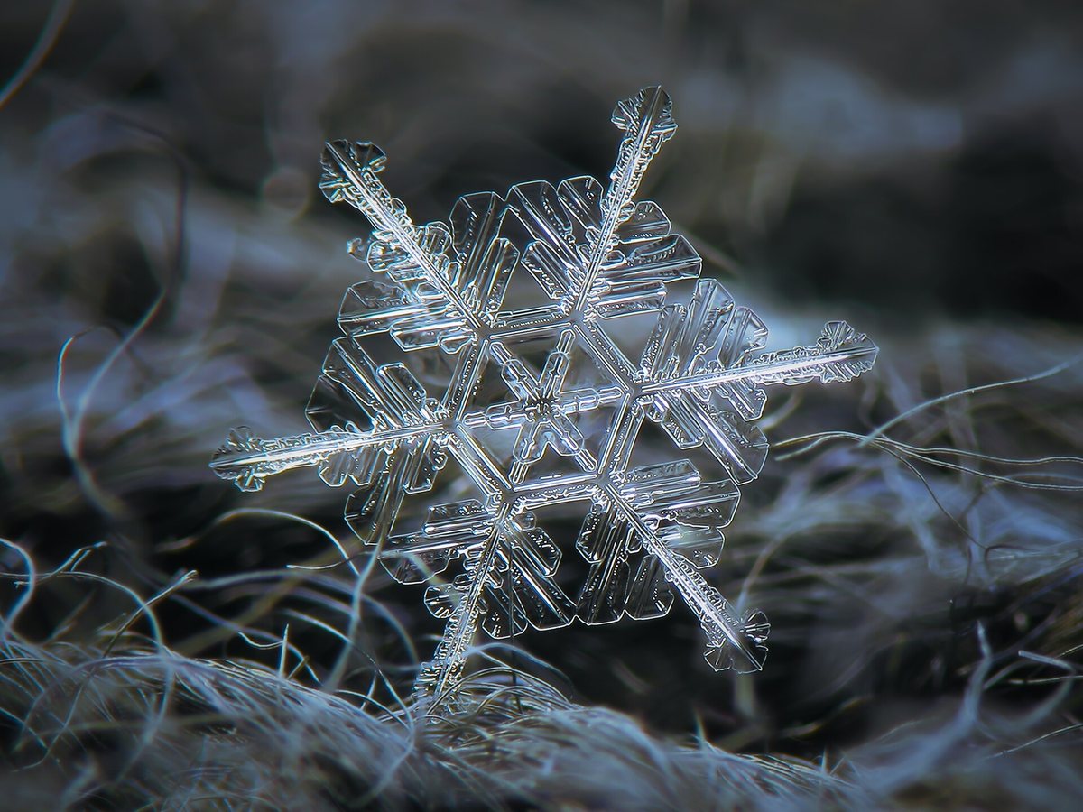 6本の枝がのびた雪の結晶の拡大写真
